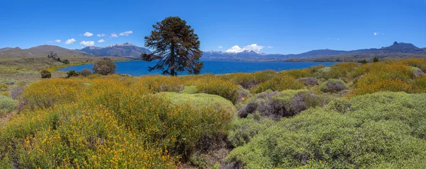 Lago Huechulafquen, parco nazionale Lanin — Foto Stock