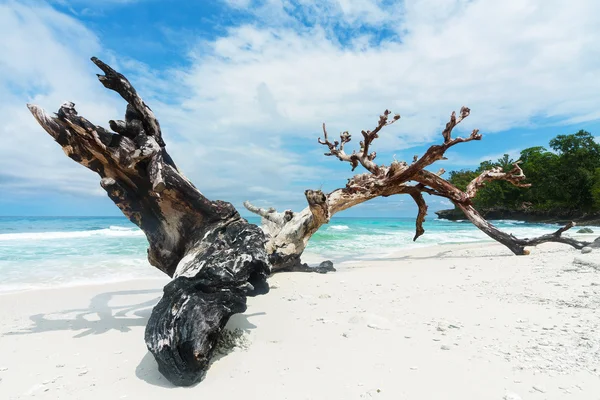 Pulau tak berpenghuni — Stok Foto