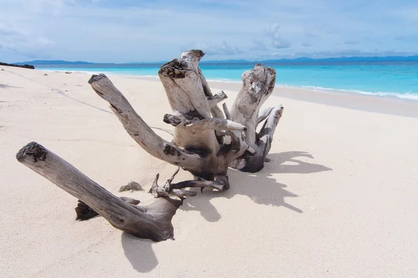 Ilha desabitada — Fotografia de Stock