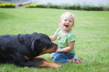 ? bir köpekle oynamayı hild