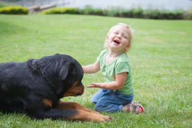 ? bir köpekle oynamayı hild