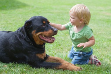 ? bir köpekle oynamayı hild