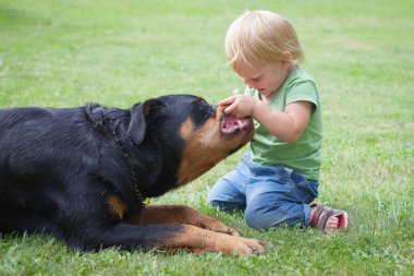 ? bir köpekle oynamayı hild