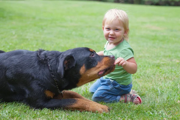 Сhild playing with a dog — Stock Photo, Image