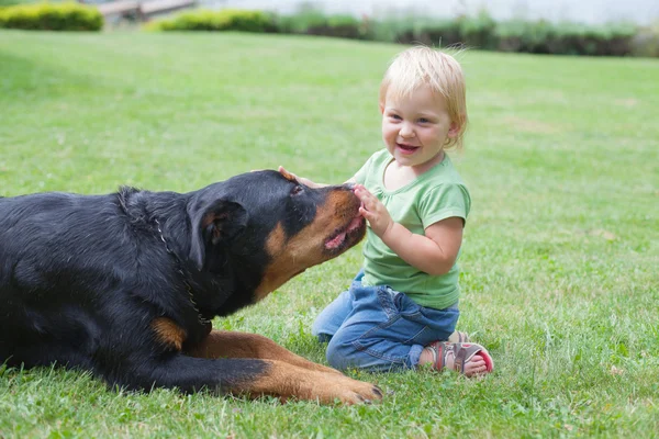 Сhild playing with a dog — Stock Photo, Image