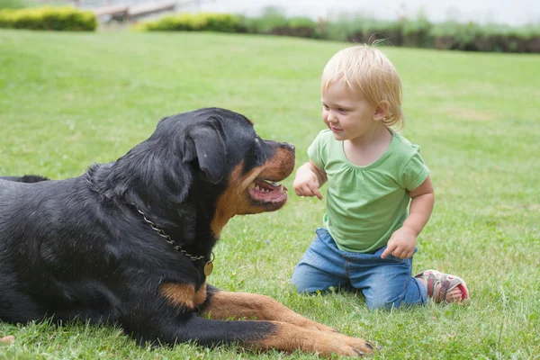 ? hild spelen met een hond — Stockfoto