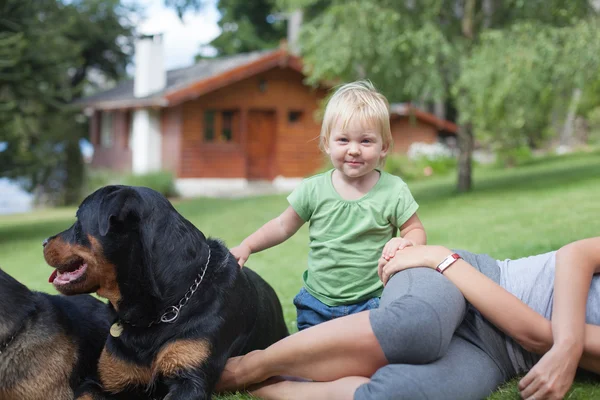 Familj med hundar vilar Stockbild