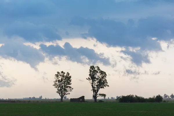 嵐はすぐに 2 つの木の間の孤独の家 — ストック写真