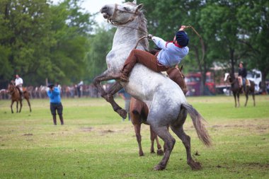 Gauchos tr fiesta de la tradicion san antonio de areco içinde