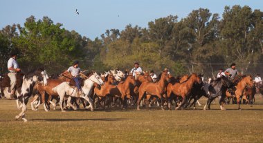 Gauchos tr fiesta de la tradicion san antonio de areco içinde