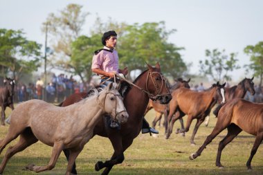 Gauchos tr fiesta de la tradicion san antonio de areco içinde