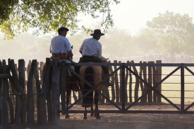 Gauchos tr fiesta de la tradicion san antonio de areco içinde