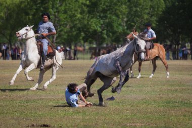 Gauchos tr fiesta de la tradicion san antonio de areco içinde