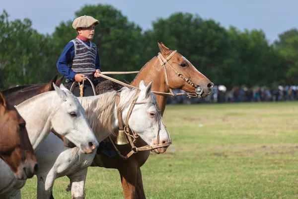 Gauchos en Fiesta de la Tradicion a San Antonio de Areco — Foto Stock