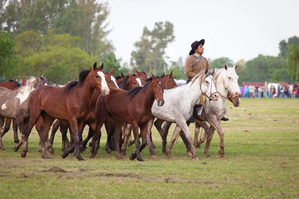 Gaúchos en fiesta de la tradicion em san antonio de areco — Fotografia de Stock