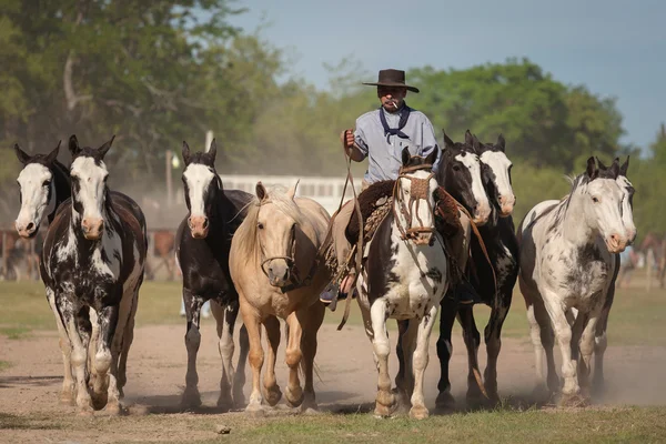 Gauchos en Fiesta de la Tradicion San Antonio de Areco — Stock Fotó