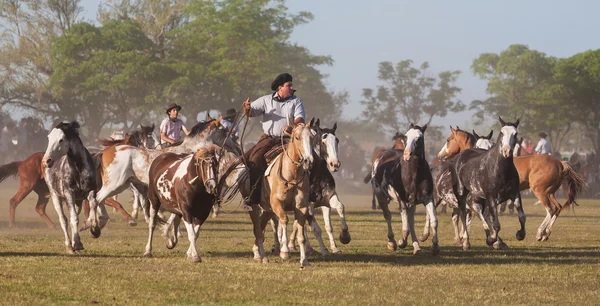 Gauchos tr fiesta de la tradicion san antonio de areco içinde — Stok fotoğraf