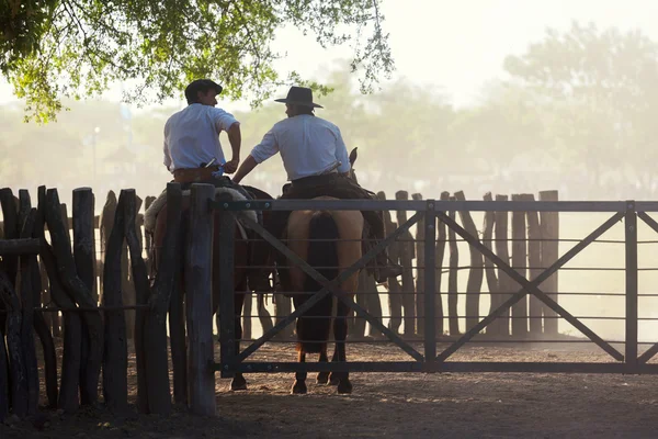 Gauchos en Fiesta de la Tradicion San Antonio de Areco — Stock Fotó