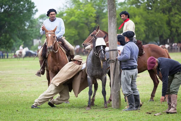 Gauchos pl fiesta de la tradicion w san antonio de areco — Zdjęcie stockowe