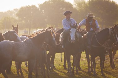 Gauchos tr fiesta de la tradicion san antonio de areco içinde
