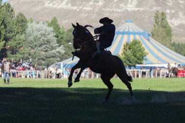 Gaucho junin de los andes, 16 Şubat 2013 patagonia, Arjantin için bir ulusal puestero Festivali