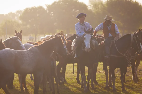 Gauchos tr fiesta de la tradicion san antonio de areco içinde