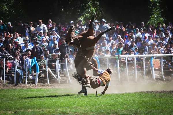 Fiesta Nacional del Puestero Gaucho en Junín de los Andes, 16 de febrero de 2013, Patagonia, Argentina —  Fotos de Stock