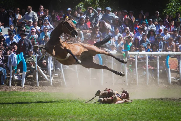 Fiesta Nacional del Puestero Gaucho en Junín de los Andes, 16 de febrero de 2013, Patagonia, Argentina —  Fotos de Stock