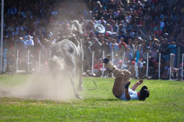 Gaucho an National Puestero Festival in Junin de los Andes, 16 février 2013, Patagonie, Argentine — Photo