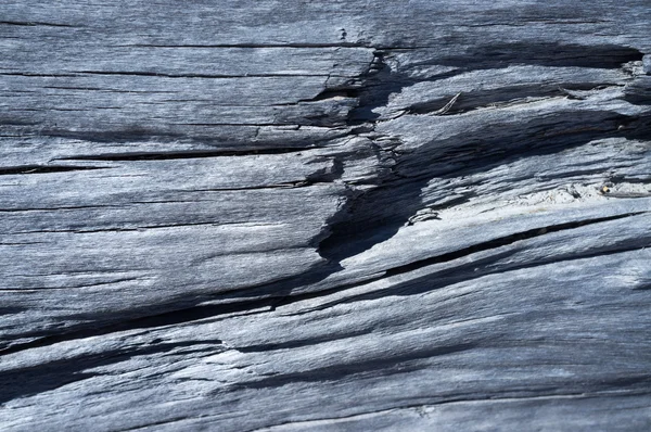 Texture of the old dry wood — Stock Photo, Image