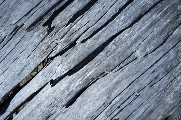 Textur des alten trockenen Holzes — Stockfoto