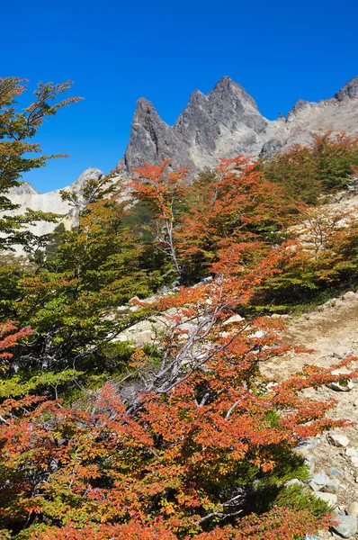 Jesień w górach, zamontować lopez, patagonia — Zdjęcie stockowe
