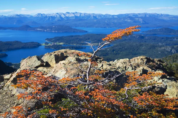 View from the mountain Lopez to the Villa Llao Llao, Bariloche, Patagonia, Argentina — Stock Photo, Image