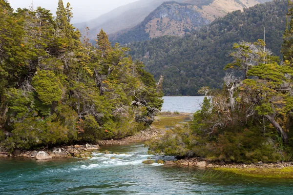 Tó Menendez, nemzeti park Los Alersis, Patagonia, Argentína — Stock Fotó