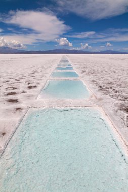 Salinas grandes