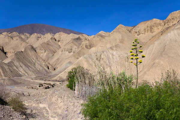 Montaña de colores en Purmamarca — Foto de Stock