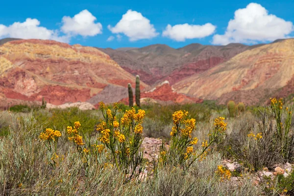 Mountain landscape — Stock Photo, Image