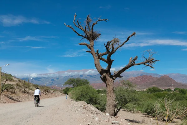 Aldeia montanhosa Cachi, Argentina — Fotografia de Stock