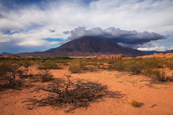 Formacja skalna, el cafayate — Zdjęcie stockowe