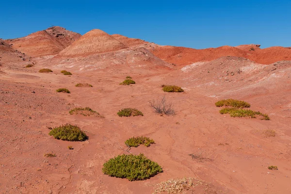 Formações rochosas em um parque nacional Ischigualasto — Fotografia de Stock