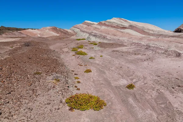 Formações rochosas em um parque nacional Ischigualasto — Fotografia de Stock