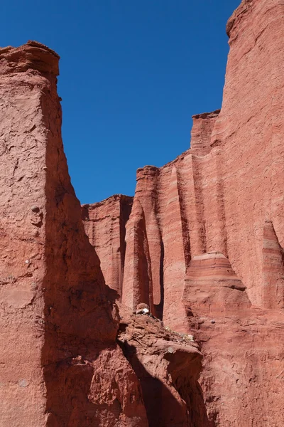 Formations rocheuses dans le parc national Talampaya — Photo