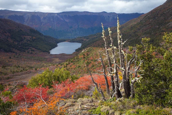 Lagune llum, patagonia, Argentinië — Stockfoto