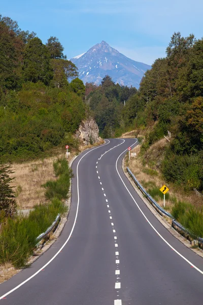 火山 choshuenco、 环保园 huilo huilo、 villarica、 巴塔哥尼亚、 智利 — 图库照片