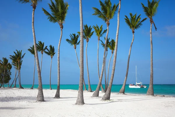 Cap cana strand, Dominicaanse Republiek — Stockfoto