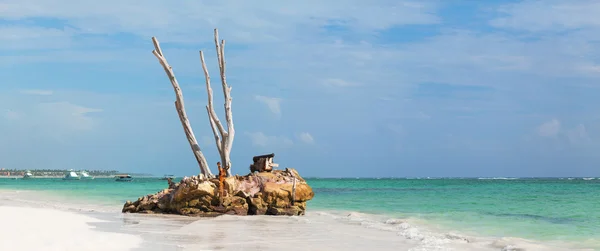 Bavaro Beach, Punta Cana, Dominican Republic — Stock Photo, Image