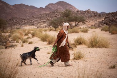 sahara Çölü'nde Tuareg
