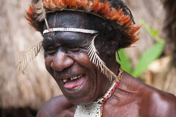 Unidentified warriors of a Papua — Stock Photo, Image