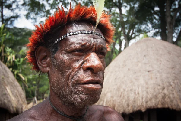 Niet-geïdentificeerde krijgers van een Papoea — Stockfoto