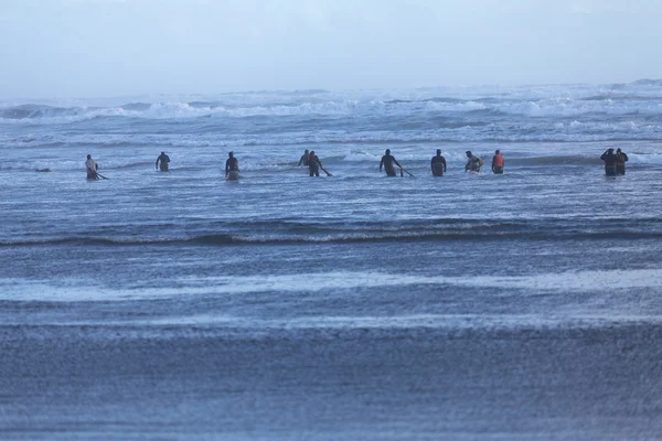 Groep schelpdierenvissers aan de kust van de Atlantische Oceaan — Stockfoto